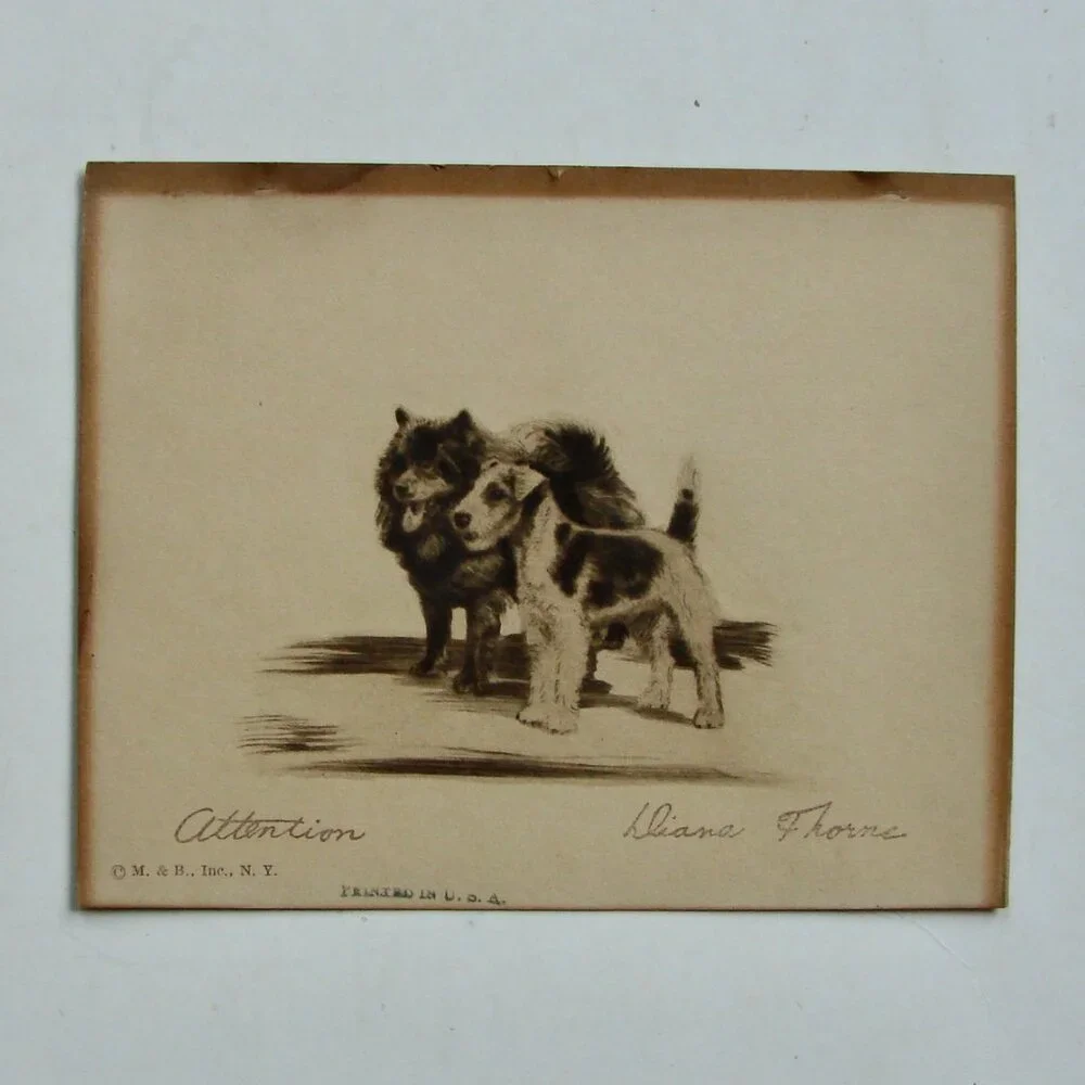 Vintage Antique Dog Art Etching Prints Terriers Chow Samoyed New York 5" x 4" - Picture 3 of 11